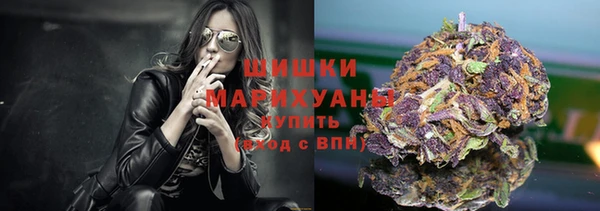 индика Козловка