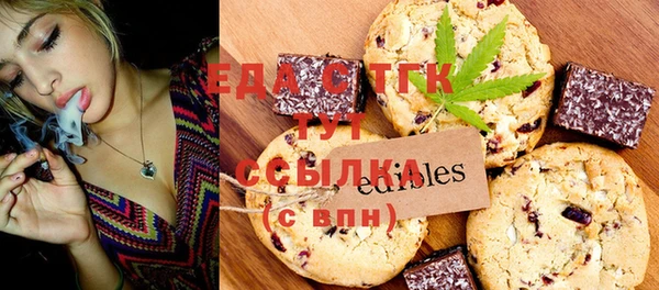 индика Козловка