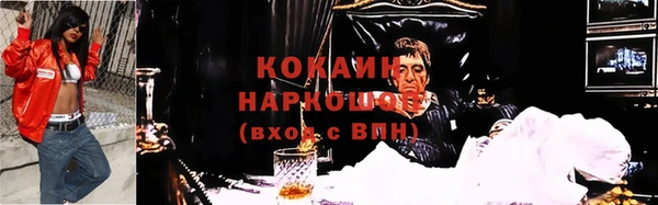 индика Козловка