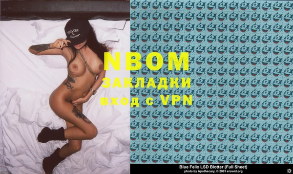 индика Козловка