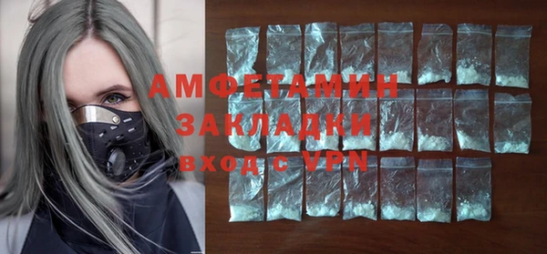 индика Козловка