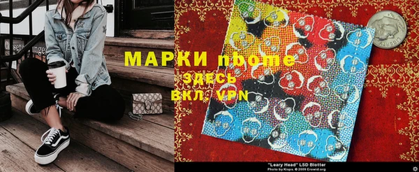 индика Козловка