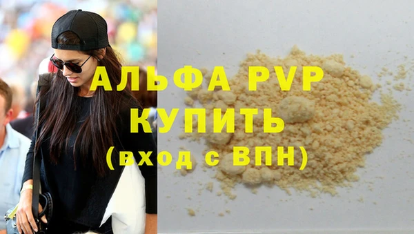 индика Козловка