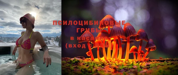 МДМА Козельск
