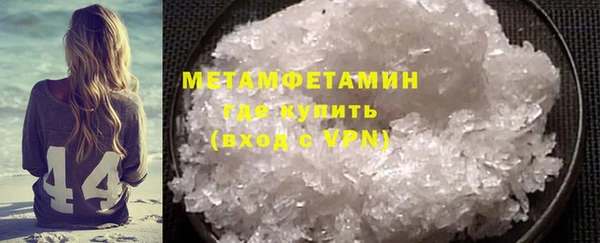 индика Козловка