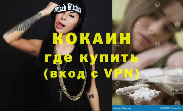 индика Козловка