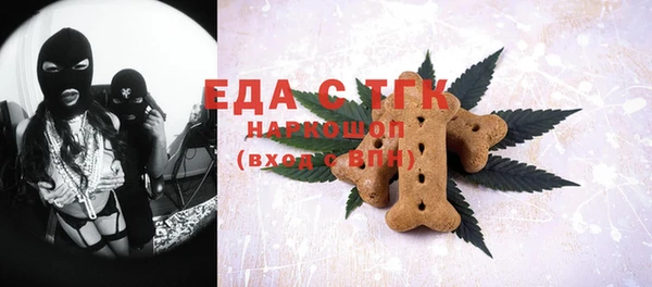 индика Козловка