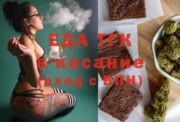 индика Козловка